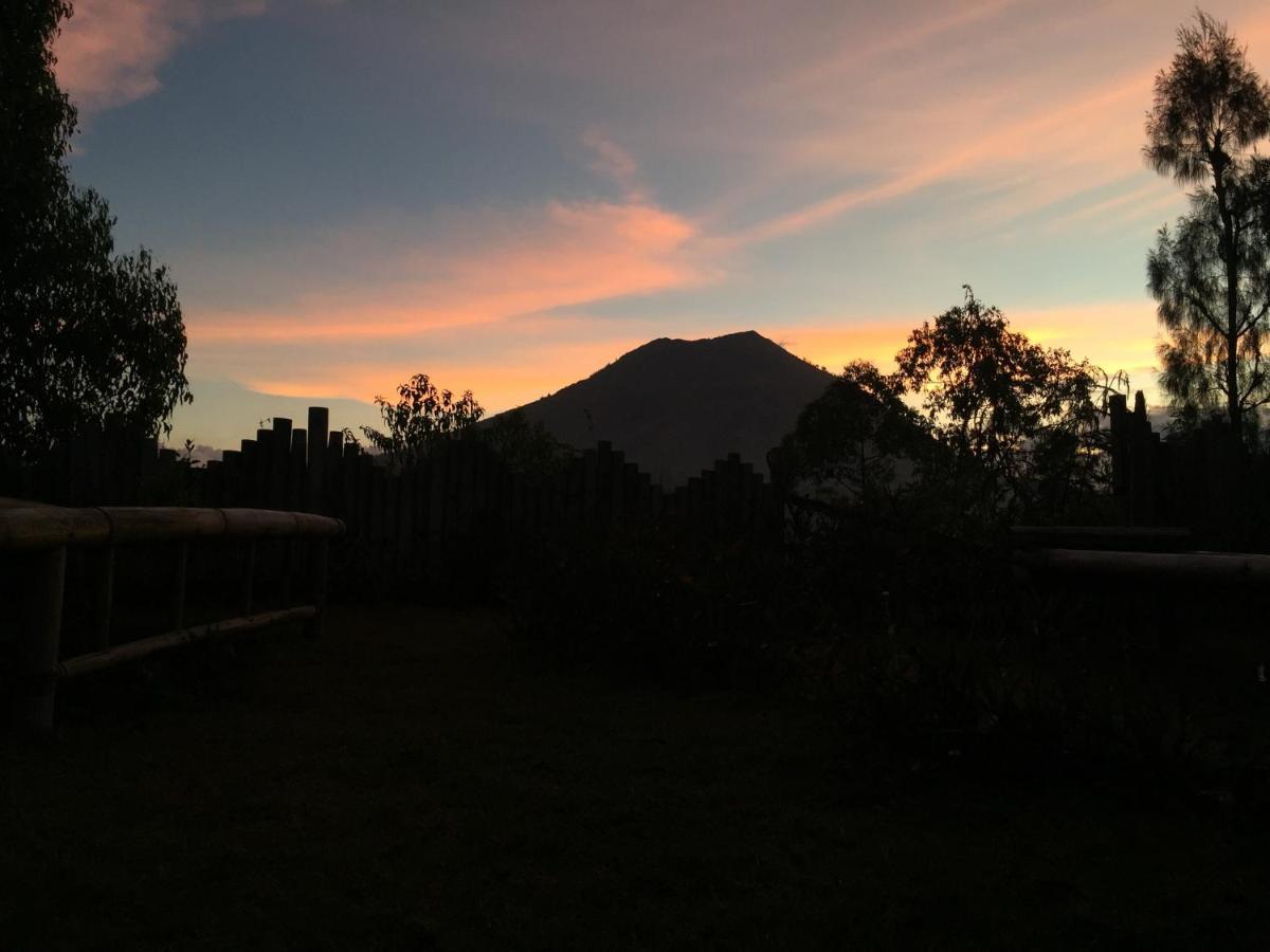 Kintamani Bunbulan Panorama Bed & Breakfast エクステリア 写真