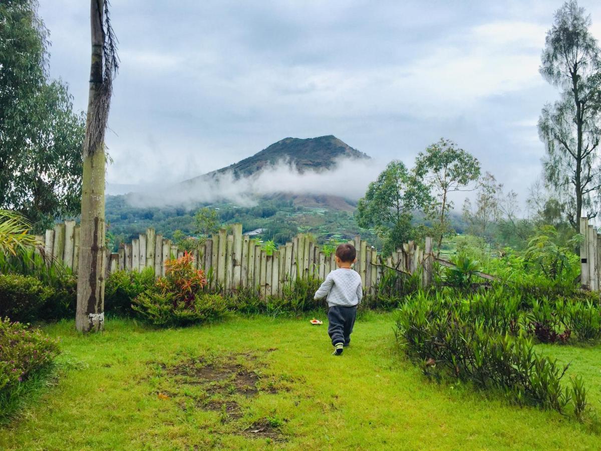 Kintamani Bunbulan Panorama Bed & Breakfast エクステリア 写真