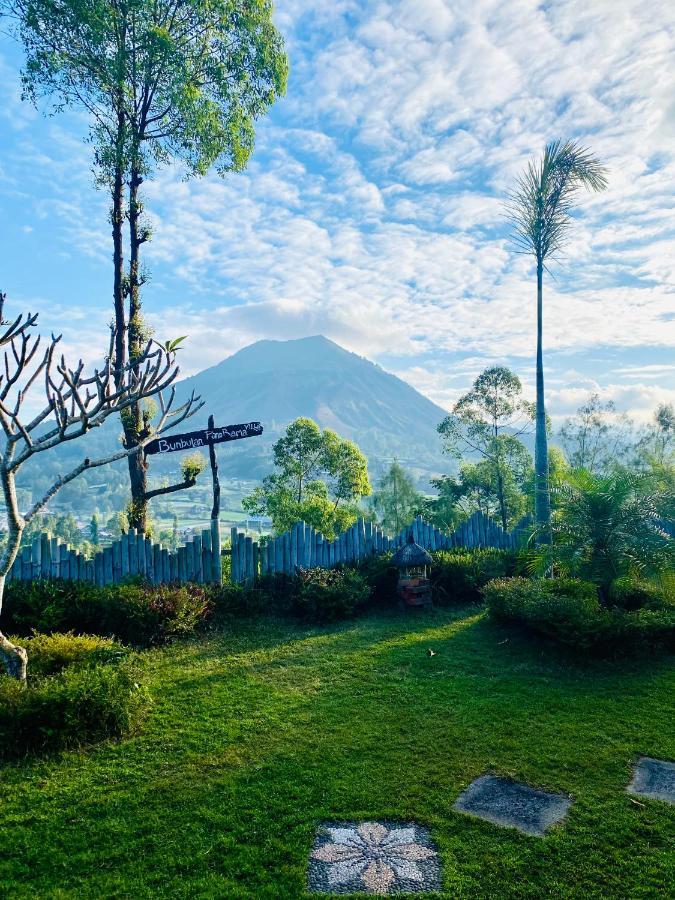 Kintamani Bunbulan Panorama Bed & Breakfast エクステリア 写真