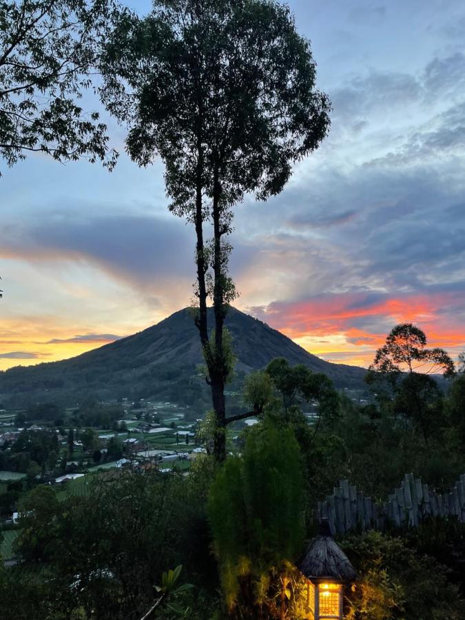 Kintamani Bunbulan Panorama Bed & Breakfast エクステリア 写真